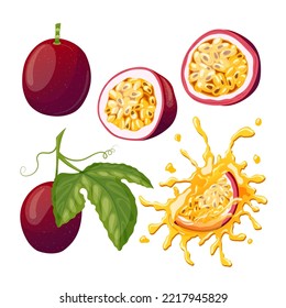 passion fruit set cartoon. cut fresh, half food slice, tropical exotic, ripe whole, passionfruit maracuya, juicy, juice passion fruit vector illustration