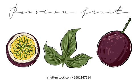 Conjunto de frutos de la pasión, color, vector