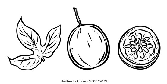 Passion fruit set, monochrome, vector