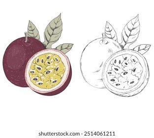 Passion fruit set print design.
