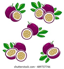 Passion Fruit Set. Vector