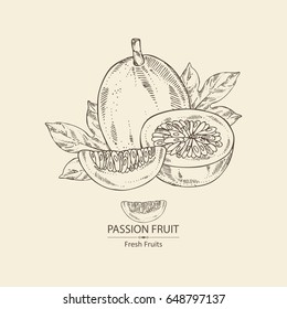 Passion fruit: fruit, passion slice and leaves. Vector hand drawn illustration