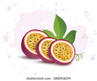 passion fruit slices vector illustration with fruit leaves