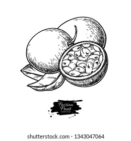Passion fruit vector drawing. Hand drawn tropical food illustration. Engraved summer passionfruit. Whole and sliced maracuya with leaves. Botanical vintage sketch for label, juice packaging design