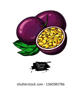 Passion fruit vector drawing. Hand drawn tropical food illustration. Summer passionfruit. Whole and sliced maracuya with leaves. Botanical sketch for label, juice packaging design