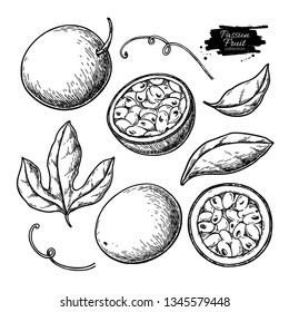 Passion fruit vector drawing set. Hand drawn tropical food illustration. Engraved summer passionfruit objects. Whole and sliced maracuya. Botanical vintage sketch for label, juice packaging design