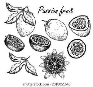 Passion Frucht, Vektorgrafik-Zeichensatz. Handgezeichnete tropische Lebensmittelgrafik. Gravierte Sommerobjekte. Pflanzen, Blätter, Blumen, ganz und geschnitten Maracuya. Botanische Skizze für Etiketten, Saftverpackungsdesign