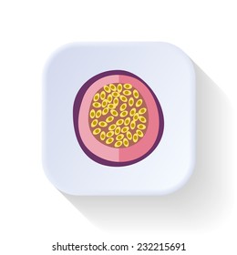 Passion fruit vector graphic illustration design art