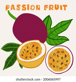 Passion fruit vector illustration. Colorful textured modern design.