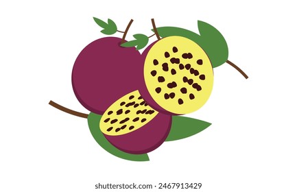 Passion Fruit Vector And Illustration Design . 