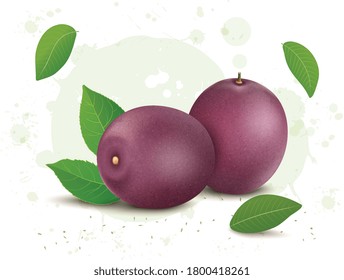 Passionsfrucht-Vektorgrafik mit grünen Blättern