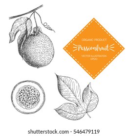 Ilustração vetorial Maracujá. Elemento de design desenhado à mão. Uma fruta desenhada em estilo vintage