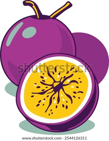 Passion Fruit Vector illustration healthy fruit 