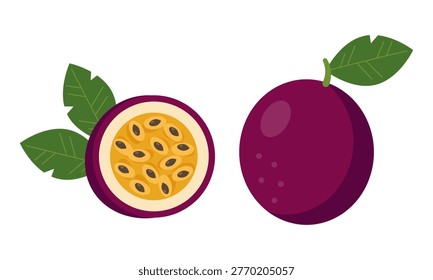 Passion fruit. Vector illustration of whole and half passion fruit with green leaves. Exotic tropical maracuja with seeds and pulp isolated on white background. Design for food and health concepts