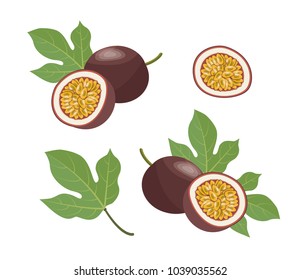 Passion fruit. Vector set  in cartoon style. Isolated  fruits