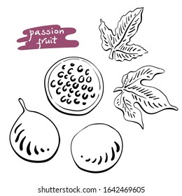 Passion fruit. Whole, half, leaves. Black line sketch collection of tropical fruits isolated on white background. Doodle hand drawn fruit icons. Vector illustration