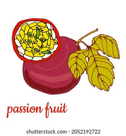 Fruto de la pasión. Fruta entera y rebanada. Ilustración compacta de color. Dibujo manual.Aislado sobre fondo blanco.Para envasado y etiquetas de los alimentos.