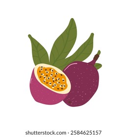 Passion fruits with leaf composition set. Vector exotic sweet food. Hand drawn flat collection illustration isolated on white background.