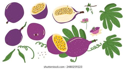 Passion fruits set. Tropical half and whole fruits with leaves and flower clipart. Vector illustration isolated on white background.