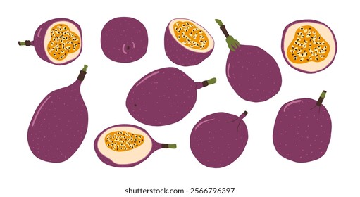 Passion fruits set. Vector exotic sweet food collection. Passionfruits pack. Hand drawn flat collection illustration isolated on white background.