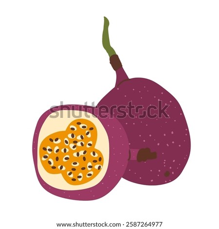 Passion fruits set. Vector exotic sweet food. Hand drawn flat composition illustration isolated on white background.