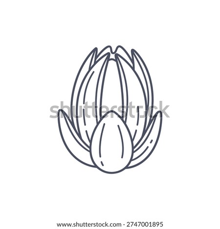 Passionflower Bud with Opening Petals and Split Seams, Flat 2D Vector Botanical Illustration