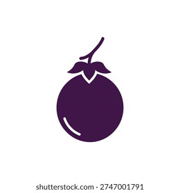 Passionflower Fruit with Stem Attached and Pedicel Curve Vector Illustration