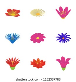 Passionflower icons set. Cartoon set of 9 passionflower vector icons for web isolated on white background