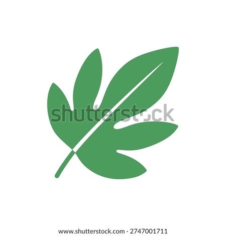 Passionflower Leaf with Entire Margin and Smooth Edge, Detailed 2D Vector