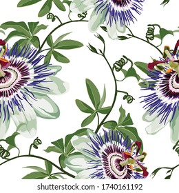 Passionflower tropical flowers and fruit. Passiflora seamless pattern on the white backgroung.