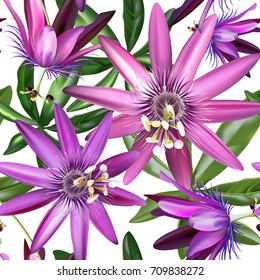 Passionflower  tropical flowers .Seamless pattern on the white background