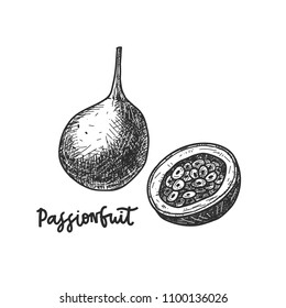 Passionfruit. Hand drawn sketch style vector illustration. Vitamin and healthy eco food for label, card, poster, badge. Farm market produce. Isolated drawing on white background