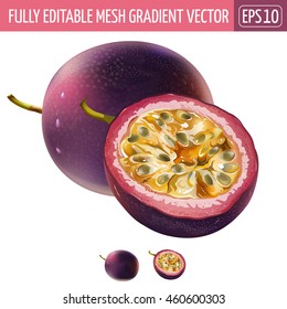 Passionfruit On White Background. Vector Illustration