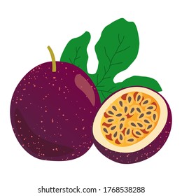 passionfruit vector illustration, set of passionfruit and leaf isolated on white background