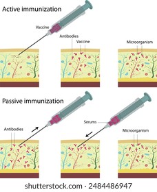 Passive immunization and Active immunization. Vaccination. Injection of blood serum containing antibodies.