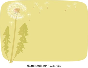 Past blossoming dandelion.