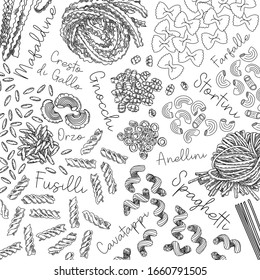 Pasta collection. Illustration of different types of pasta. Vector outline illustration.-Vector. Types of traditional italian pata: spaghetti, fettuccine, fusilli, bucatini, farfalle, rigatoni, lasagn