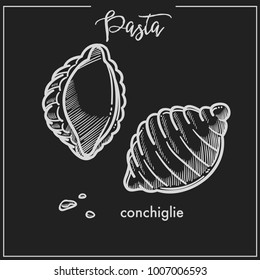 Pasta Conchiglie shell chalk sketch for Italian cuisine menu or packaging design on black background