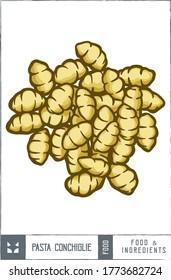 Pasta conchiglie Vector illustration - Hand drawn