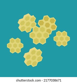 Pasta in the form of a honeycomb, a few pieces of pasta