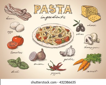 Pasta with ingredients free hand colorful drawing, sketch style