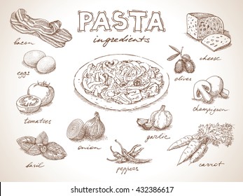 Pasta with ingredients free hand drawing, sketch style