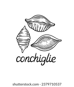 Konzept der Pasta-Linie. Conchiglie Form der Makkaroni. Traditionelle italienische Küche und Küche. Grafisches Element für Website. Lineare flache Vektorgrafik einzeln auf weißem Hintergrund