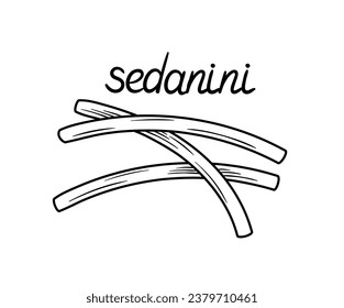 Pasta line concept. Sedanini shape of macaroni. Traditional italian cuisine and kitchen. Homemade food. Template and layout. Linear flat vector illustration isolated on white background