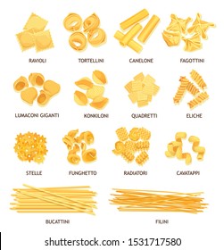 Pasta, macaroni and spaghetti of Italian food vector design. Fusilli, tortellini and ravioli, cannelloni, noodle and stelline, conchiglie, dumplings and bucatini, lasagna, filini and funghetto shapes