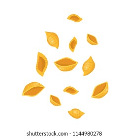 pasta, seashells, vector illustration