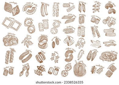 Pasta Set. Italian Pasta in Hand Drawn Style for Surface Design Fliers Prints Cards Banners. Vector Illustration