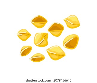 Pasta shells on a white isolated background. Italian macaroni. Cartoon vector illustration.