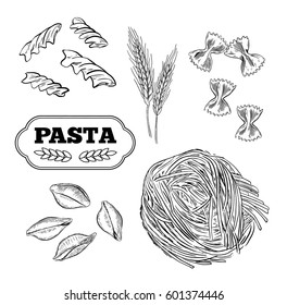 Pasta vector. Hand drawn isolated set. Different types of pasta. Collection of different types of noodle. Retro line art vector illustration. Sketch.