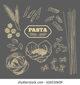 Pasta vector. Hand drawn isolated set. Different types of pasta. Collection of different types of noodle. Retro line art vector illustration. Sketch.
